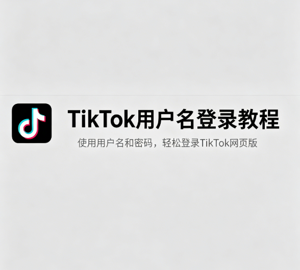 TikTok用户名登录教程